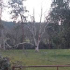 Meet your Posher, Michele